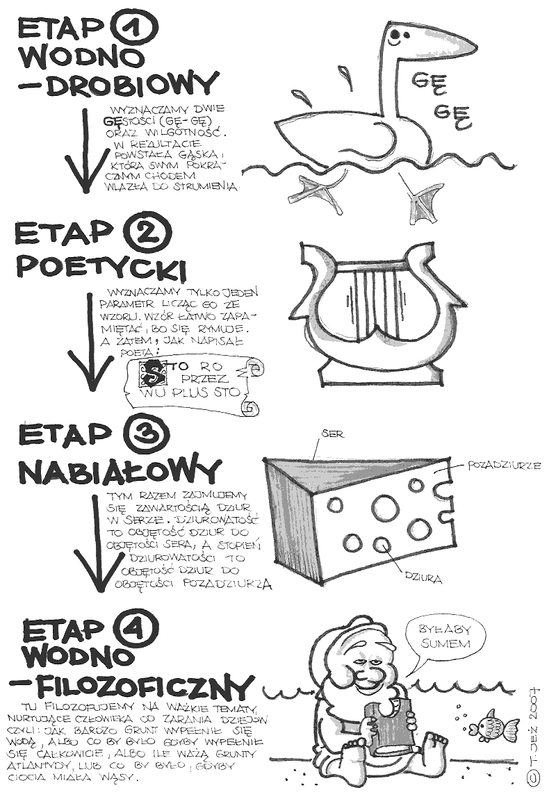 cechy fizyczne, wodno – drobiowy etap, poetycki etap, nabiałowy etap, wodno – filozoficzny etap