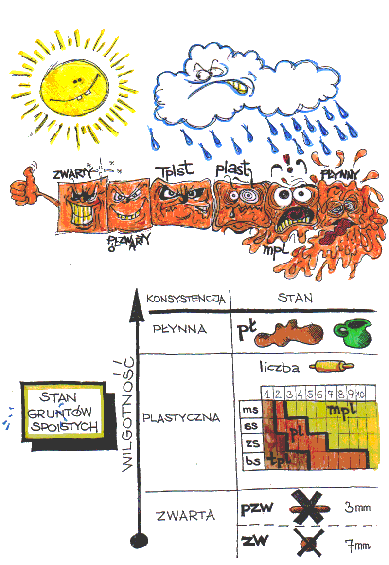 makroskopia,	konsystencja, stan