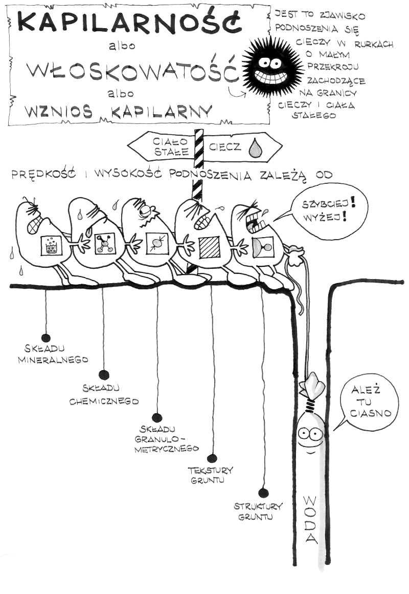 kapilarność, kapilarność bierna, kapilarność czynna, zwierciadło, woda kapilarna