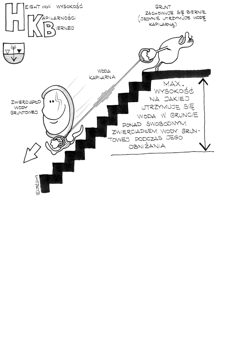 kapilarność, kapilarność bierna, kapilarność czynna, zwierciadło, woda kapilarna